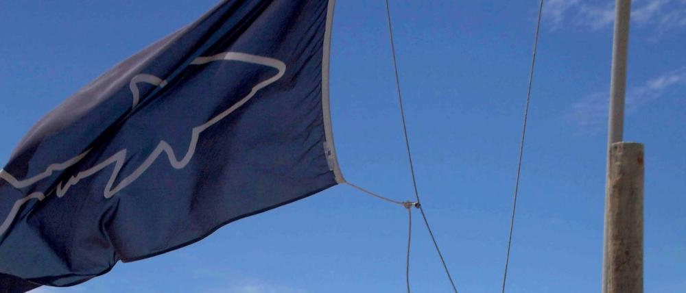 Ein "Shark Spotter" in Südafrika hisst die blau-weiße Flagge mit einem Hai-Symbol darauf. Jetzt heißt es raus aus dem Wasser.