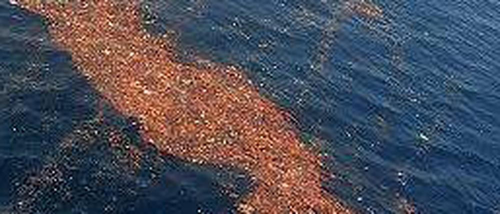 Dieses Foto von treibendem Tsunamimüll auf dem Pazifik wurde von einer Hubschrauberbesatzung des Flugzeugträgers „USS Ronald Reagan“ einen Monat nach der Katastrophe aufgenommen. 