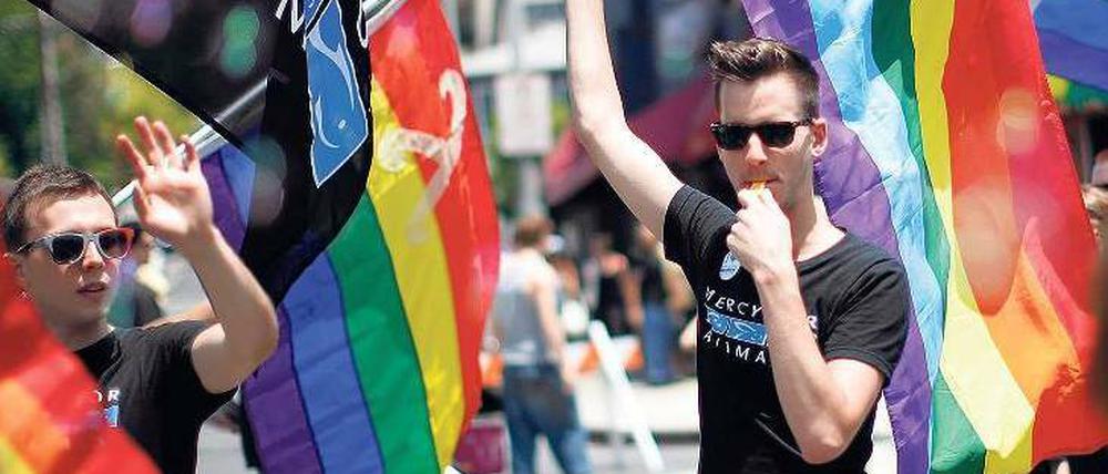 Pride Parade. Aktivisten haben in den vergangenen Jahren viele Rechte für Homosexuelle in den USA erkämpft, hier in Los Angeles. Doch Probleme bleiben.