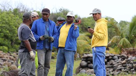Arbeiter suchen am 29 Juli nach Teilen des vermissten Flugs MH370 auf La Réunion. Die Regierungen sich sich noch uneins über neue Funde. 