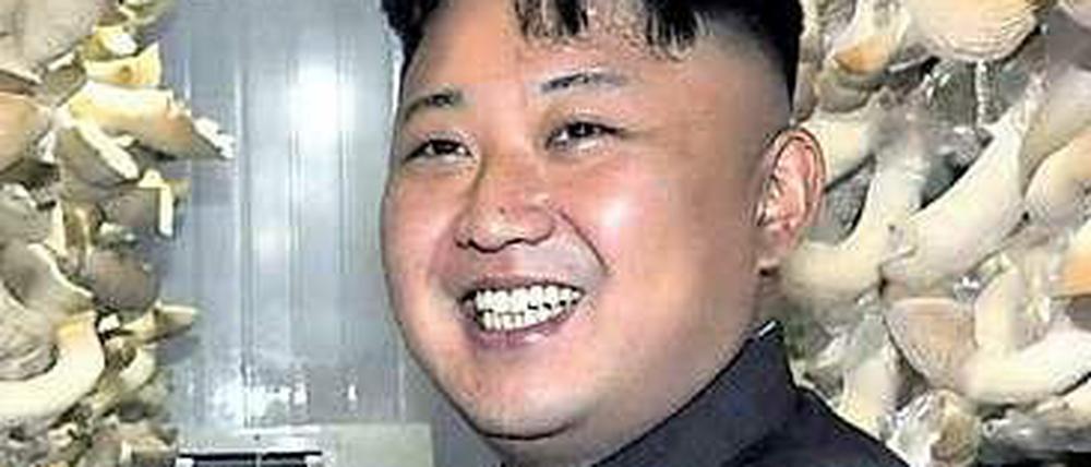 Nordkoreas Machthaber Kim Jong-Un soll Vater geworden sein, das erklärte zumindest Ex-Profisportler Dennis Rodman.