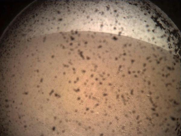 Dieses von der NASA zur Verfügung gestellte Foto zeigt das erste Bild, das vom InSight Mars-Lander aufgenommen wurde. 