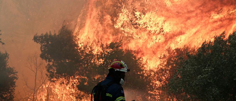 Waldbrand in Griechenland im Juli 2022.