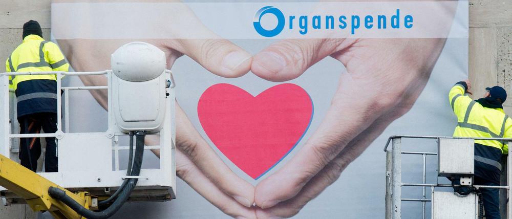 Zwei Arbeiter montieren in Hannover ein Plakat zum Thema Organspende. 