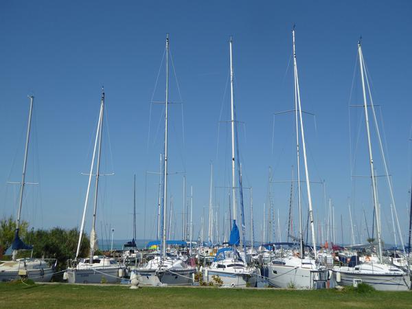 Der Yachthafen von Balatonaliga hat Platz für über 160 Boote.
