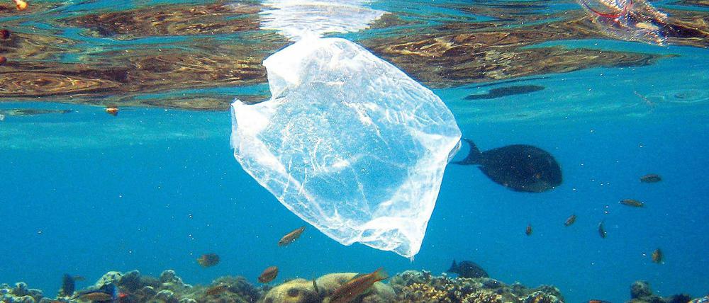 Sie schwimmt und schwimmt und schwimmt. Es dauert oft mehr als 100 Jahre, bis eine Plastiktüte im Meer vollständig abgebaut ist.