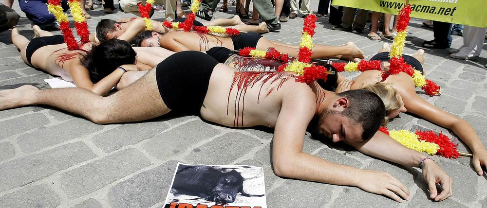 Tierschützer protestieren seit Jahren in ganz Spanien gegen die „grausame Tradition“. Jetzt haben sie auch auf Mallorca die Mehrheit der Bürger hinter sich.