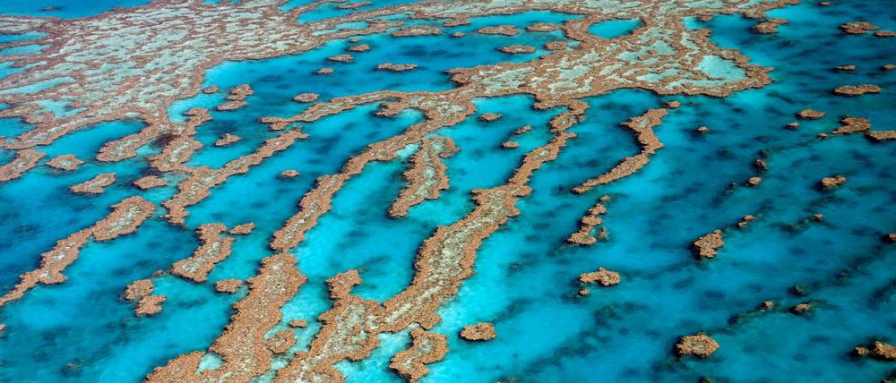 Riffe und Atolle am Great Barrier Reef vor Australiens Küste