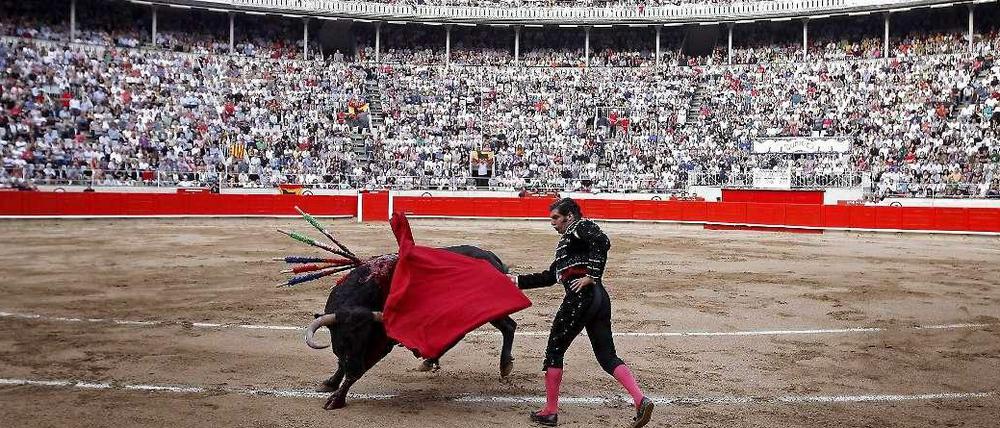 Spaniens Regierung will sich dafür einsetzen, dass der auch in dem südeuropäischen Land umstrittene Stierkampf von der Unesco zum Weltkulturerbe erklärt wird.