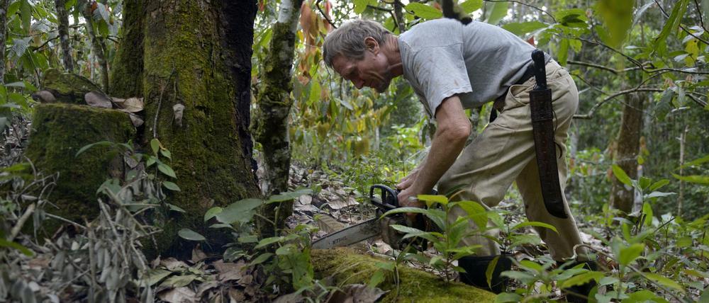 Ernst Götsch arbeitet in seinem Dschungel im Bundesstaat Bahia in Brasilien.