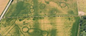 Landschaft mit Grabmonumenten bei Eynsham, Oxfordshire. Die Bewuchsmerkmale offenbaren nun Reste prähistorischer Grabmonumente aus der Zeit von 4000 bis 700 vor Christus. Die kreisrunden Gruben wurden erst jetzt im Juli entdeckt. Dunkle Linien weisen auf Gräben, hier konnten die Pflanzen längere Wurzeln bilden.