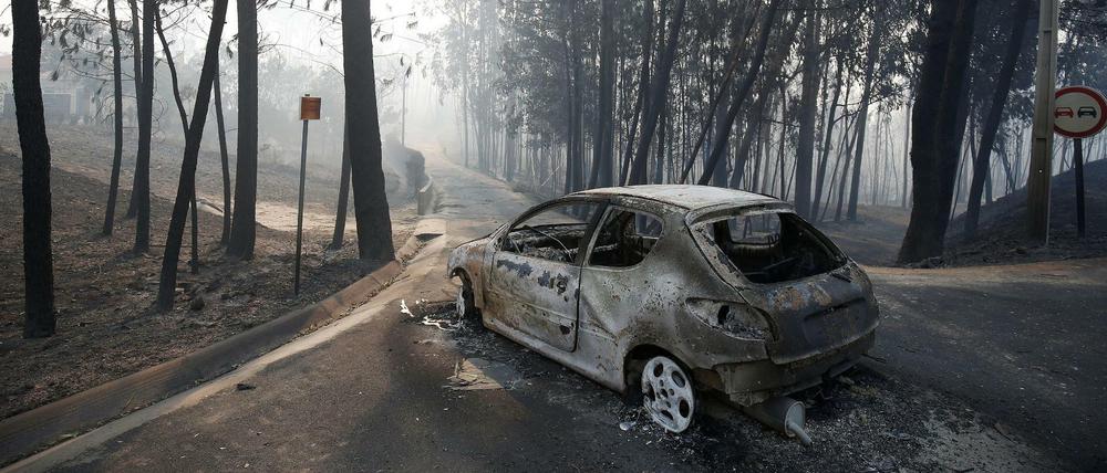Viele Opfer starben auf der Flucht vor dem Brand in ihren Autos, als das Feuer ihnen den Weg abschnitt. 