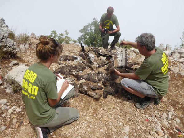 Die Aktivisten und Aktivistinnen des "Komitee gegen den Vogelmord e.V." dokumentieren vor Ort die Zahl getöteter Tiere.