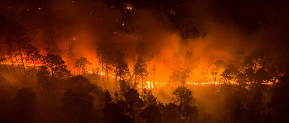 Das Foto zeigt einen Waldbrand in der Region Krasnojarsk.