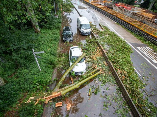 Am Morgen nach dem Unwetter liegen ungestürzte Bäume auf einer Straße am Hauptbahnhof in Stuttgart, ein Auto wurde von einem Baum getroffen.