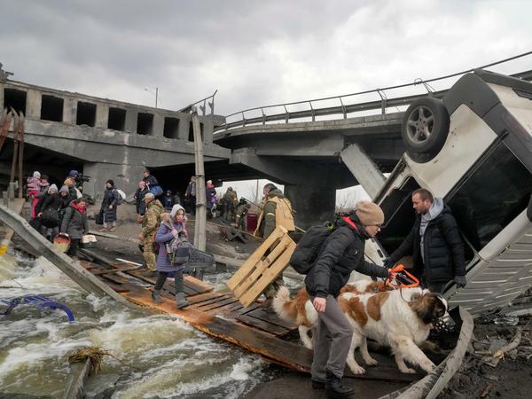Ukrainer nehmen auf der Flucht das Wichtigste mit, was sie haben: Auch ihre Haustiere.