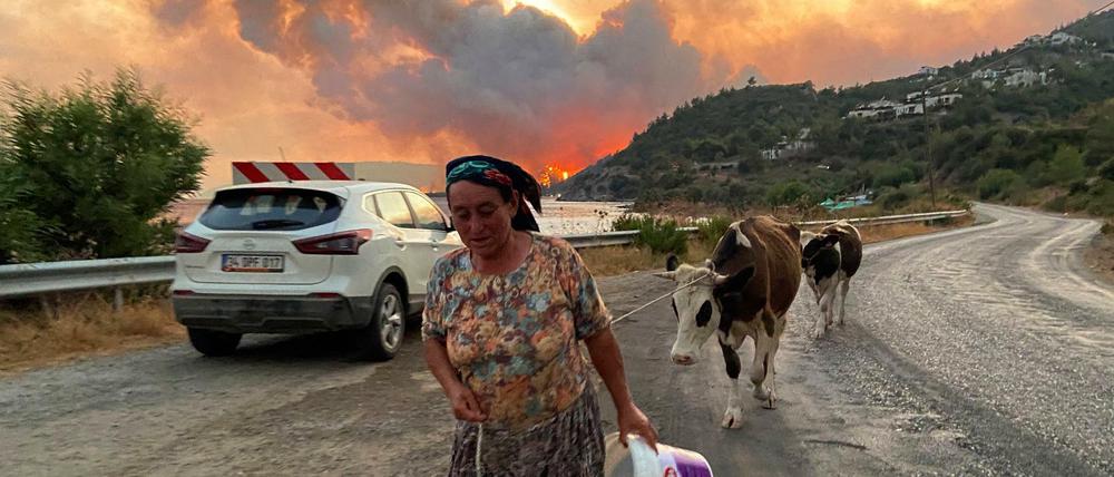 Eine Frau flieht mit ihren Tieren vor einem sich ausbreitenden Waldbrand in der Türkei.
