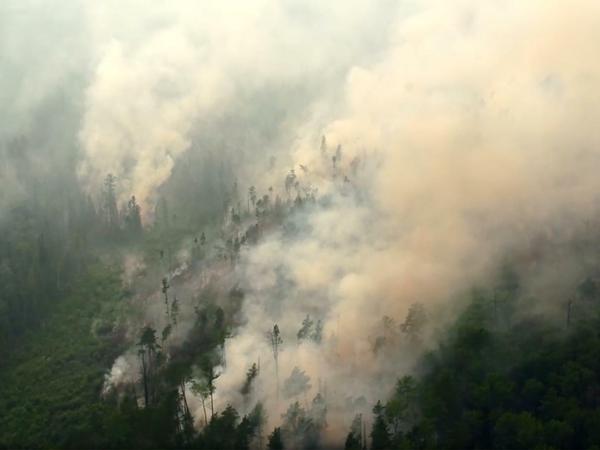 Ein Waldbrand in der Region Krasnojarsk in Sibirien.