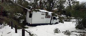 Ein Wohnmobil ist von einem durch Schnee eingestürzten Baum im Gebiet des Gebirgszug Serra de Tramuntana eingeklemmt.