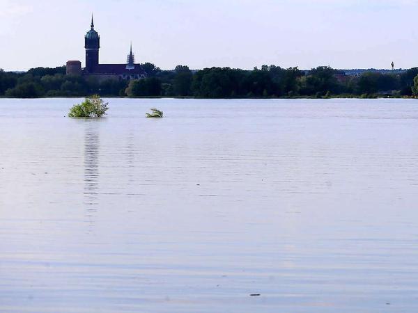 Die Flussaue der Elbe vor der Lutherstadt Wittenberg ist völlig überschwemmt.