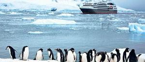 Gästeempfang. Ob sich Pinguine über Kreuzfahrtschiffe freuen, steht auf einem anderen Blatt. In der Antarktis lagern sich Rußpartikel auf dem Eis ab.