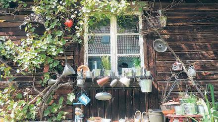 Sommer mit Stillleben. Die Emsländerin Silke Wendt hat ihren Schuppen mit Kannen und Körben, Eimern und Töpfen dekoriert. Im Holzhaus nebenan serviert sie Vegetarisches.