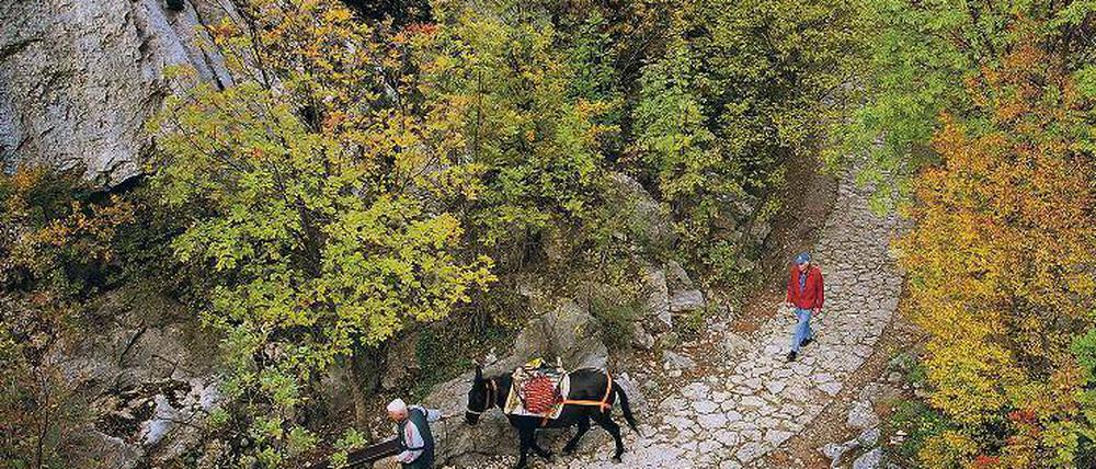 Unterwegs im Nationalpark Paklenica im Velebit-Gebirge. 