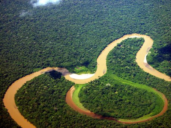 Unberührte Natur: Ein Fluss schlängelt sich durch den Yasuni-Nationalpark in Ecuador.