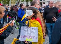 Eine Frau in Schwerin beim Protest gegen die Corona-Schutzmaßnahmen Foto: Jens Büttner/dpa-Zentralbild/dpa