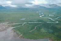 Frei wie ein Fluss. Nur wenige große Fließgewässer fließen noch so, wie natürliche Prozesse es bewirkt haben. Und die, die es in diesem Zustand noch gibt, tun dies oft in abgelegenen Regionen, wie hier der Alec River in Alaska. Foto: Morgan Bond