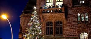 Weihnachtliches Babelsberg, Weihnachtsbaum, Turmbläser.