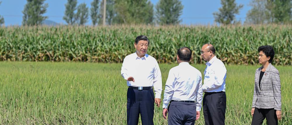 Xi Jinping präsentiert sich gern als volksnaher Krisenmanager: Hier besucht Chinas Staats- und Parteichef Bauern in der Provinz Heilongjiang.