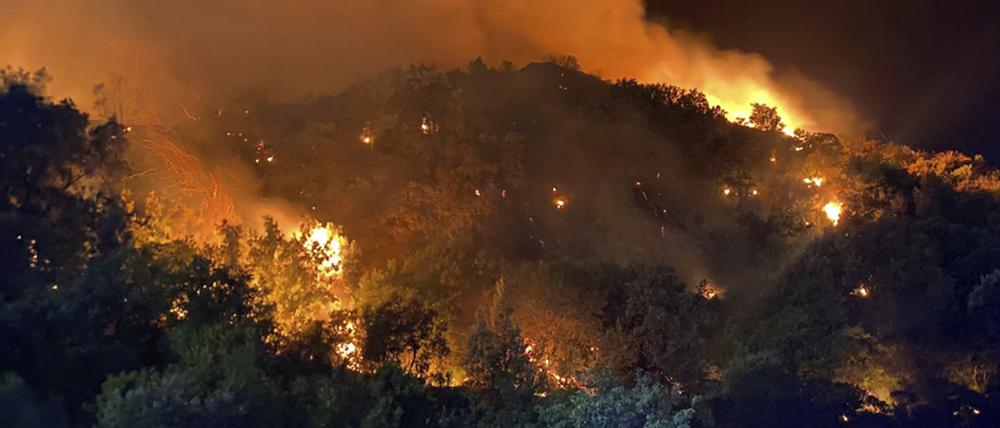 Dieses von der italienischen Feuerwehr zur Verfügung gestellte Foto zeigt Waldbrände in der Region Palermo auf Sizilien.