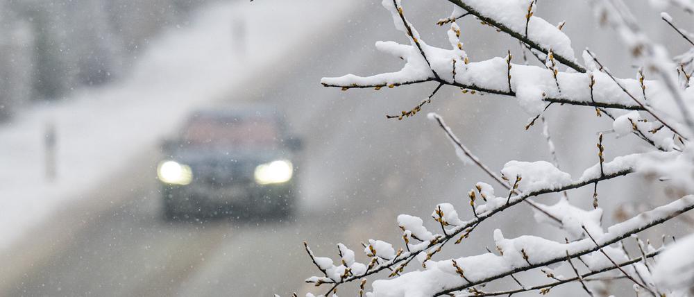 Ein Auto fährt hinter einem mit Schnee bedeckten Baum (Archivbild).