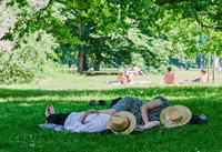 Hitze in Berlin: Zwei Menschen liegen mit Strohhut über dem Gesicht im Tiergarten. Foto: dpa