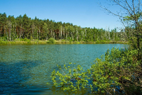 Seenlandschaft in der Uckermark nahe Templin