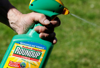 Der meistverkaufte Unkrautvernichter: das Glyphosathaltige Mittel Roundup aus dem Haus Monsanto. Foto: REUTERS