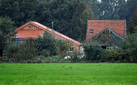 Der Hof liegt versteckt hinter Bäumen und etwa 200 Meter vom Rande des Dorfes entfernt. Foto: Piroschka van de Wouw/REUTERS
