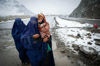 Fast vier Millionen Kinder in Afghanistan sind unterernährt. Foto: Scott Peterson/Getty Images