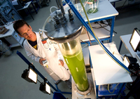 Gruen und trueb ist die Fluessigkeit in dem Glaszylinder, der am Karlsruher Institut fuer Technologie (KIT) aufgebaut ist. Dieser Plattenreaktor dient der Kultivierung von Mikroalgen. Die Algen sollen langfristig einen Kraftstoff liefern, der nicht nur Fahrzeuge antreibt, sondern auch Kraftwerke wie Biomasseanlagen. Foto: Michael Latz/ddp
