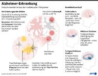 Krankheitsverlauf und Veränderungen bei Alzheimer im Gehirn. Grafik: AFP / John SAEKI