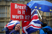 Anti-Brexit-Demonstranten protestieren vor dem Parlament in London. Foto: Reuters/Hannah McKay