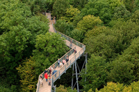 Statt vorm Berghain anzustehen, sollst du lieber über Brücken gehen. Im Hainich, Thüringen. Foto: Martin Schutt dpa/lth