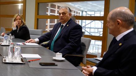 Die Patin: Giorgia Meloni mit Ungarns Premier Orbán (Mitte) und Bundeskanzler Scholz während des Gipfels in Brüssel.