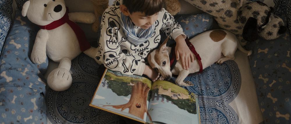 Ein Kind in der Friedenauer Gemeinschaftsschule liest einem Therapiehund vor.