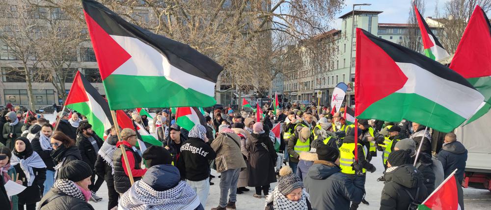 Demo für Solidarität mit Palästinensern und Gaza: Demonstranten haben sich versammelt, darunter auch Vertreter von Team Todenhöfer.