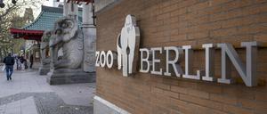 „Zoo Berlin“ steht an einer Fassade am Eingang zum Berliner Zoo. (Symbolfoto)