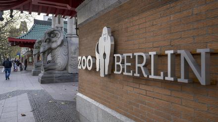 ARCHIV - 18.11.2022, Berlin: «Zoo Berlin» steht an einer Fassade am Eingang zum Berliner Zoo. (zu dpa: «Neue Preise für Berliner Zoo, Tierpark und Aquarium») Foto: Monika Skolimowska/dpa +++ dpa-Bildfunk +++