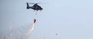 Ein Hubschrauber der Bundespolizei wirft Wasser über der Brandstelle im Grunewald ab. 