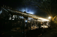 Das Affenhaus des Krefelder Zoos nach dem Brand in der Silvesternacht. Foto: David Young/dpa